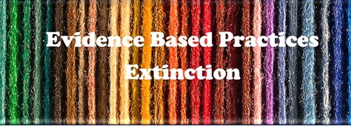Evidence Based Practice:  Extinction