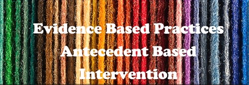 Evidence Based Practices: Antecedent Based intervention