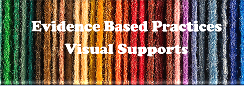 Evidence Based Practice:  Visual Supports