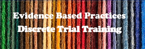 Evidence Based Practice:  Discrete Trial Training