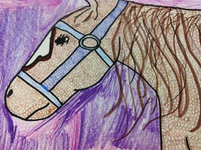 textured animal drawing 5th grade
